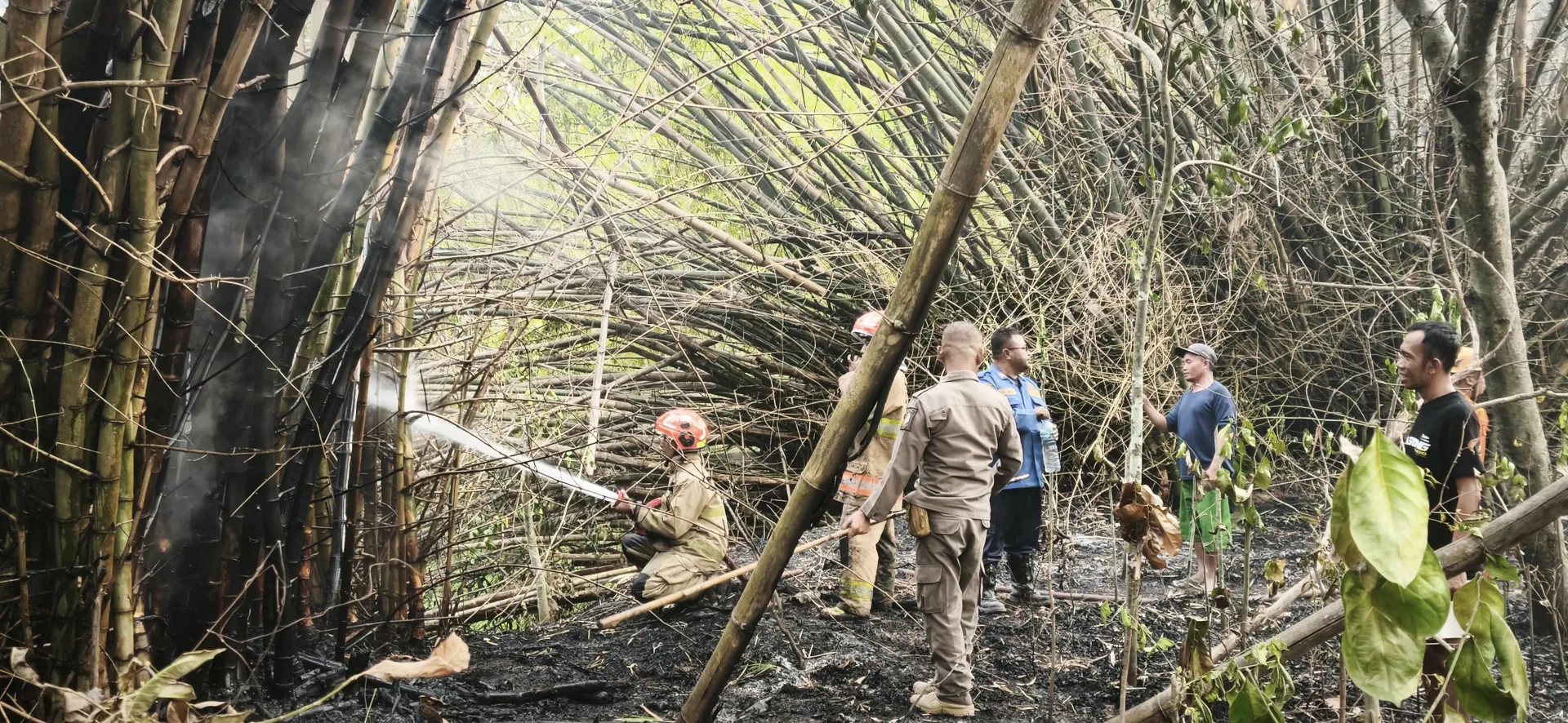 Kebakaran Lahan di Desa Sidodadi, Api Berhasil Dipadamkan (2)