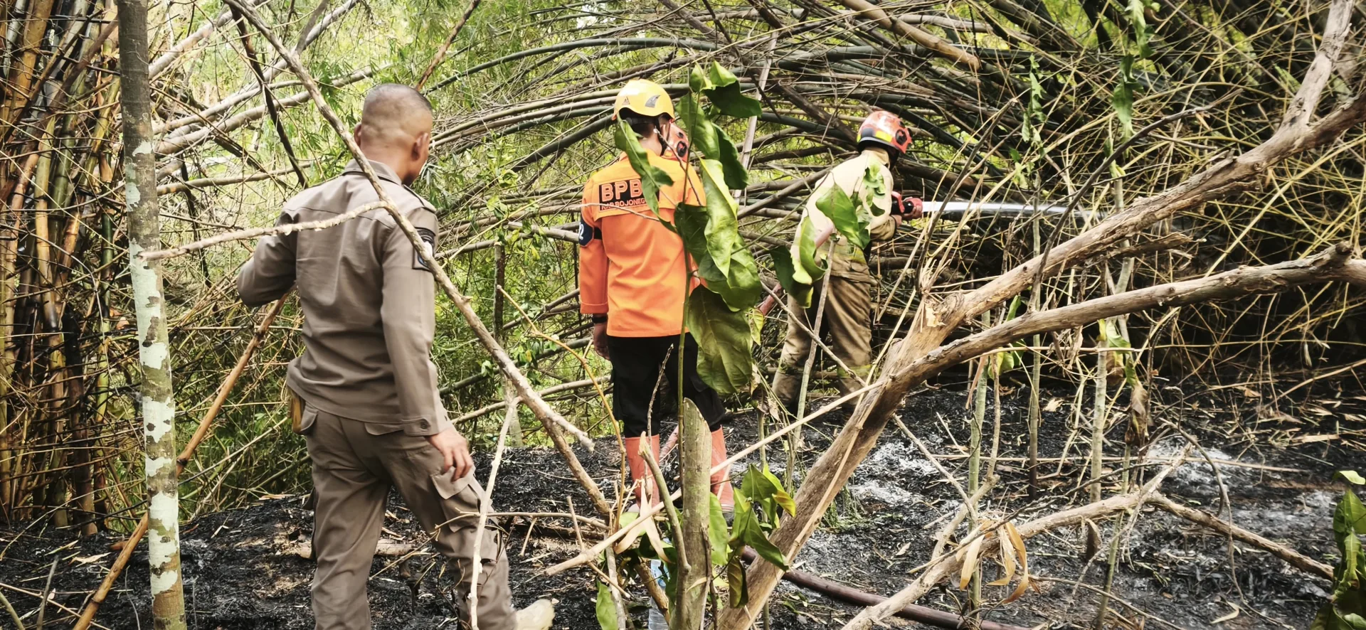 Kebakaran Lahan di Desa Sidodadi, Api Berhasil Dipadamkan