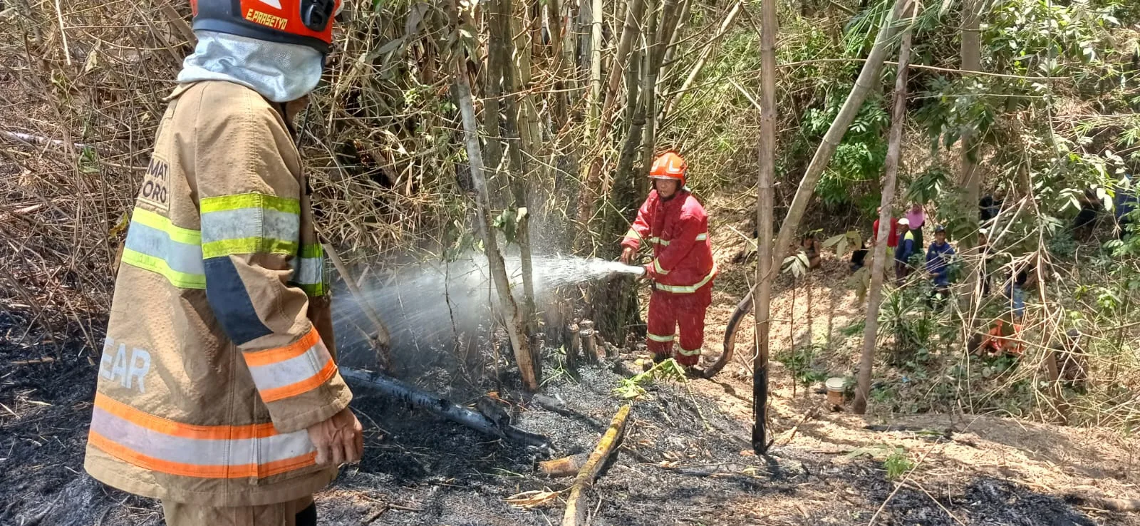 Lagi, Kebakaran Rumpun Bambu di Desa Pacing Kecamatan Sukosewu