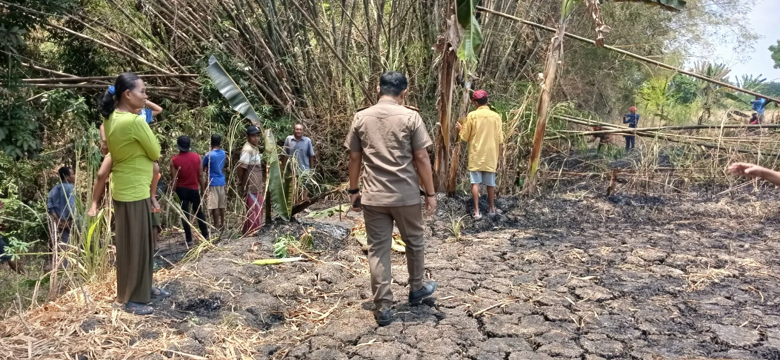 Lagi, Kebakaran Rumpun Bambu di Desa Pacing Kecamatan Sukosewu (2)