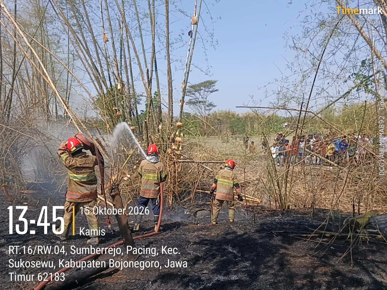 Kebakaran Rumpun Bambu Seluas ± 1 Hektare Terjadi di Desa Pacing, Kecamatan Sukosewu (2)