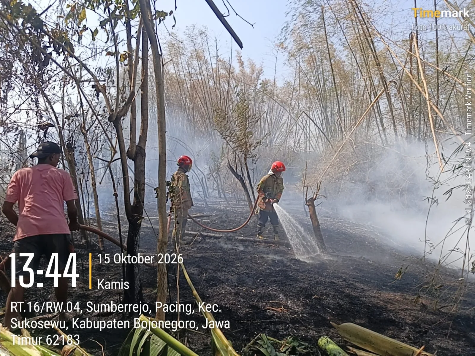 Kebakaran Rumpun Bambu Seluas ± 1 Hektare Terjadi di Desa Pacing, Kecamatan Sukosewu