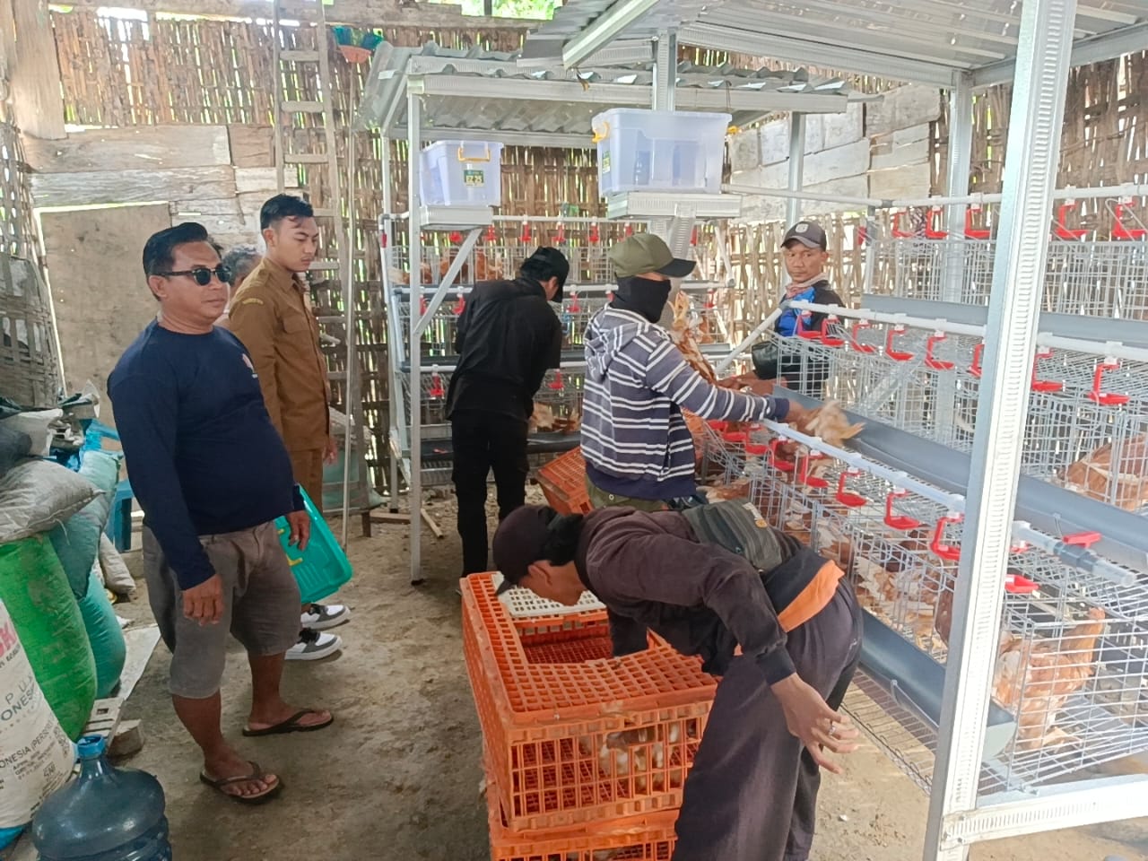 Dropping Pakan dan Ayam Program GAYATRI