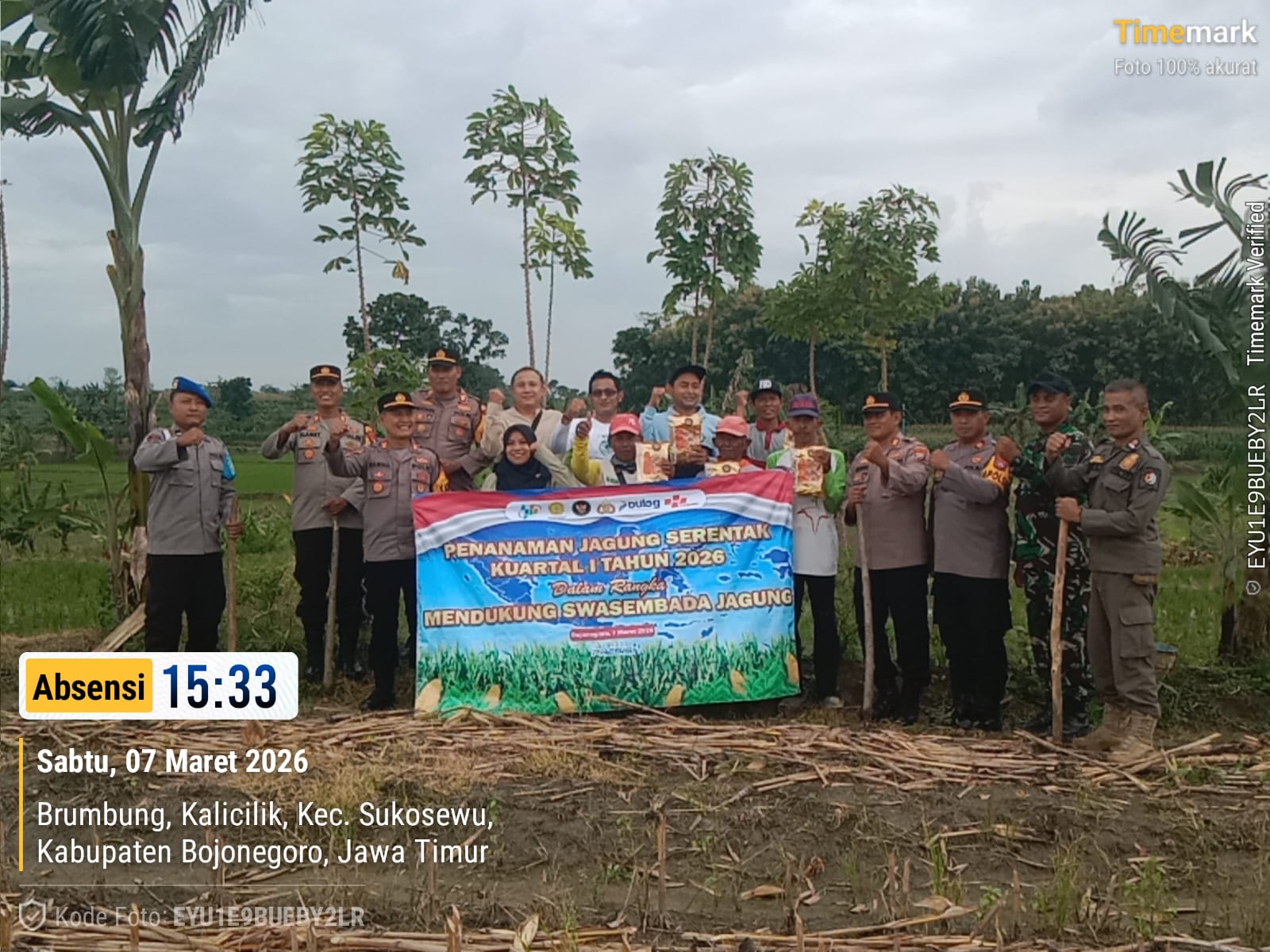 Penanaman Jagung Serentak Kuartal I