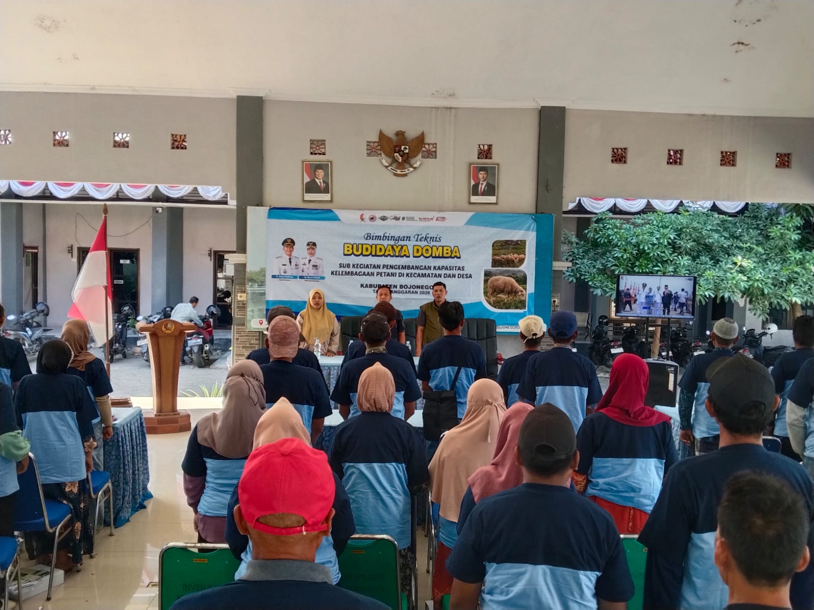 Pelatihan Domba Kesejahteraan